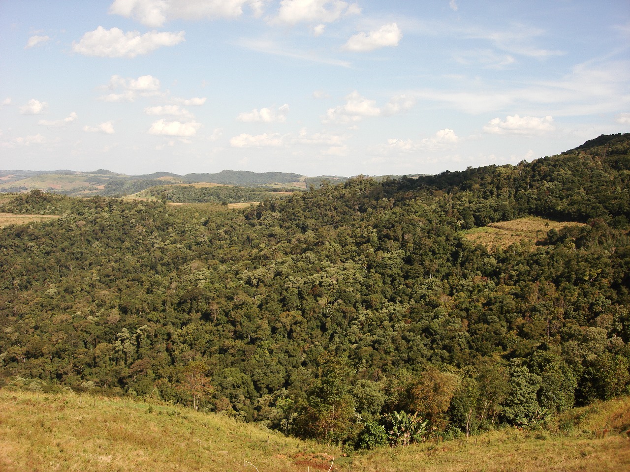 WhatsApp Image 2025-10-20 at 14.29.25